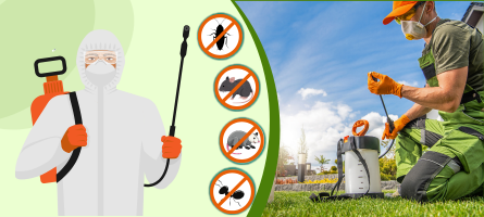 Emergency Pest Control Ocean Grove
